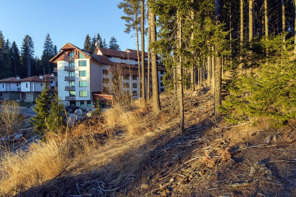 Forest Glade-Апартаменти И Стаи За Гости Pamporovo Exterior photo