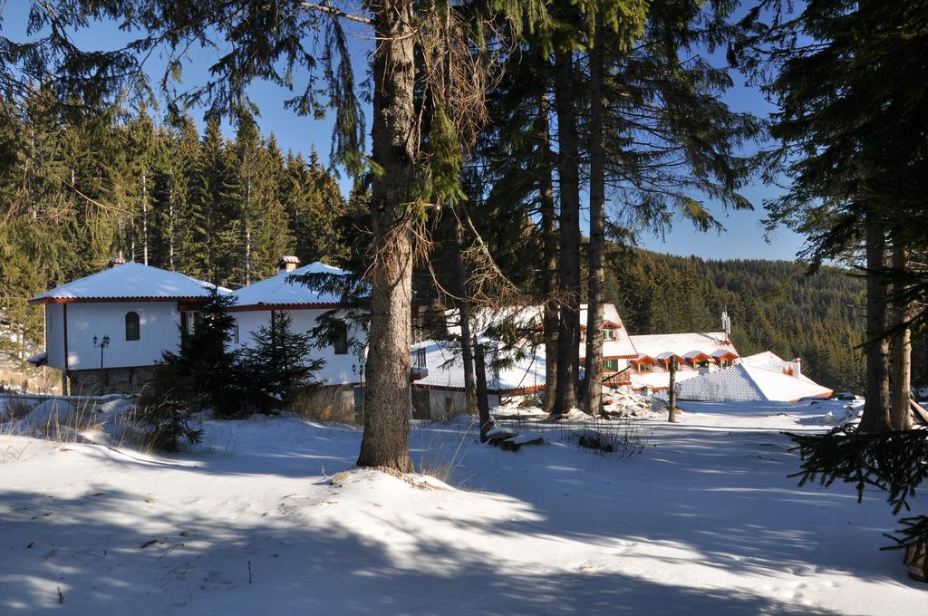 Forest Glade-Апартаменти И Стаи За Гости Pamporovo Exterior photo